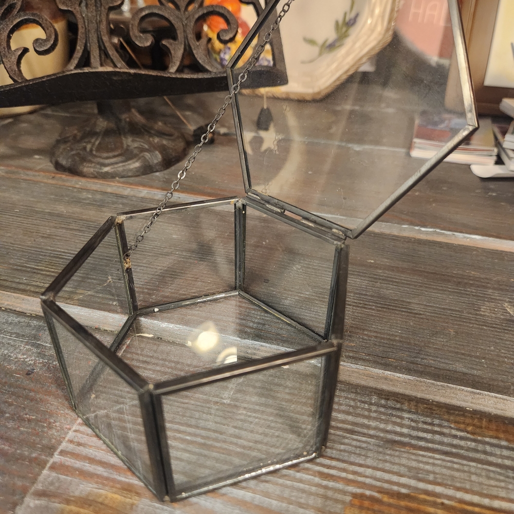 Hexagonal Glass Terrarium with Black Frame - Picture 2 of 4